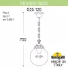 Уличный светильник подвесной Globe 250 G25.120.000.AYE27 - фото схема (миниатюра)