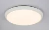 Потолочный светильник уличный Aemon 32109S - фото схема (миниатюра)