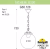 Уличный светильник подвесной GLOBE 300 G30.120.000.BYF1R - фото схема (миниатюра)