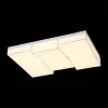 Потолочный светильник Faleto SL416.502.03 - фото схема (миниатюра)